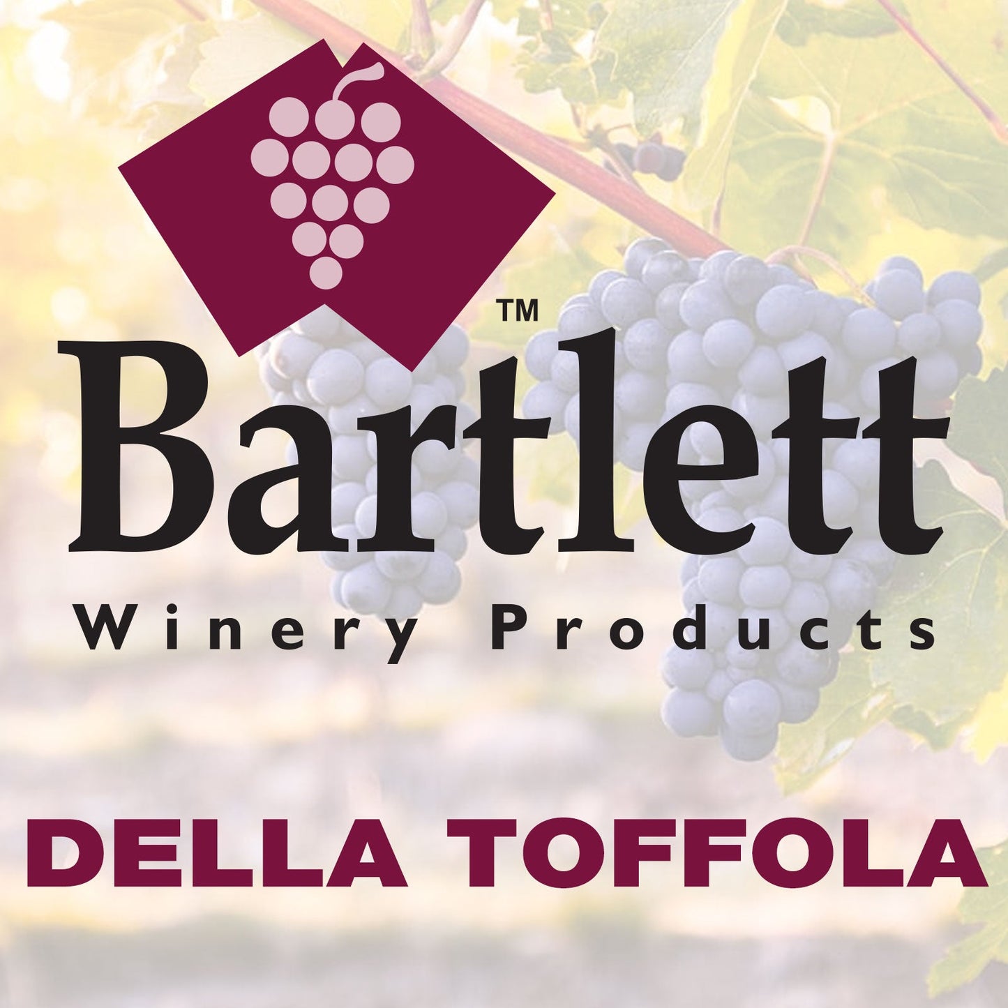 DELLA TOFFOLA - Wine Press Membranes