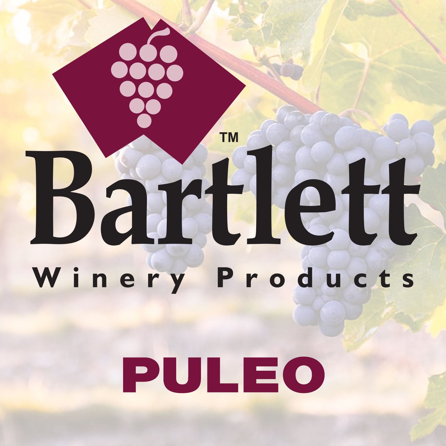 PULEO - Wine Press Membranes