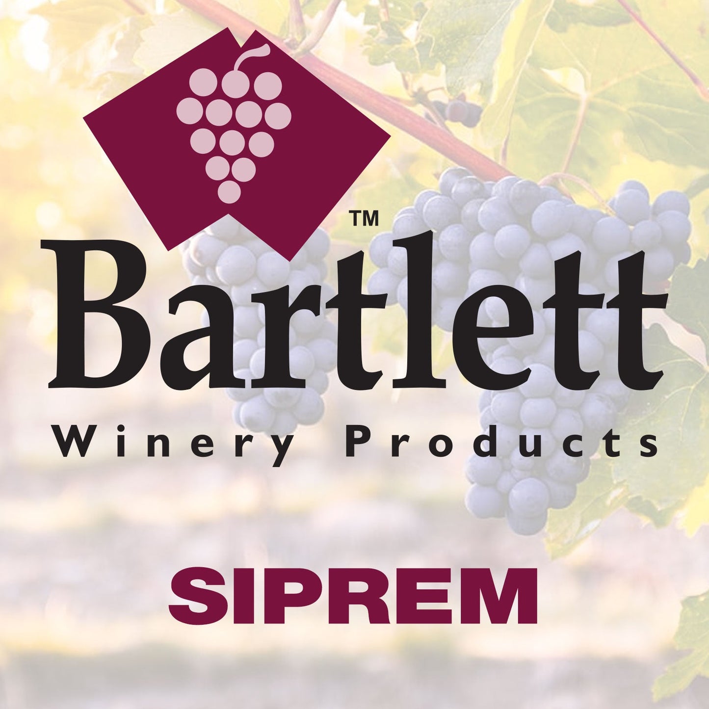 SIPREM - Wine Press Membranes
