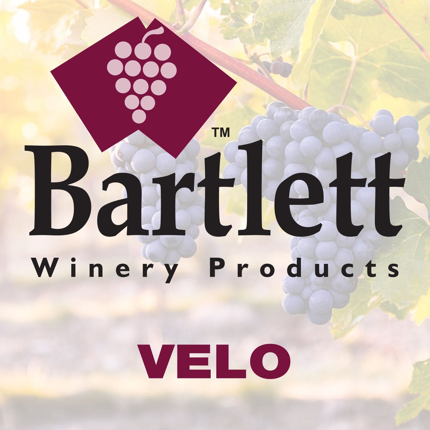 VELO - Wine Press Membranes
