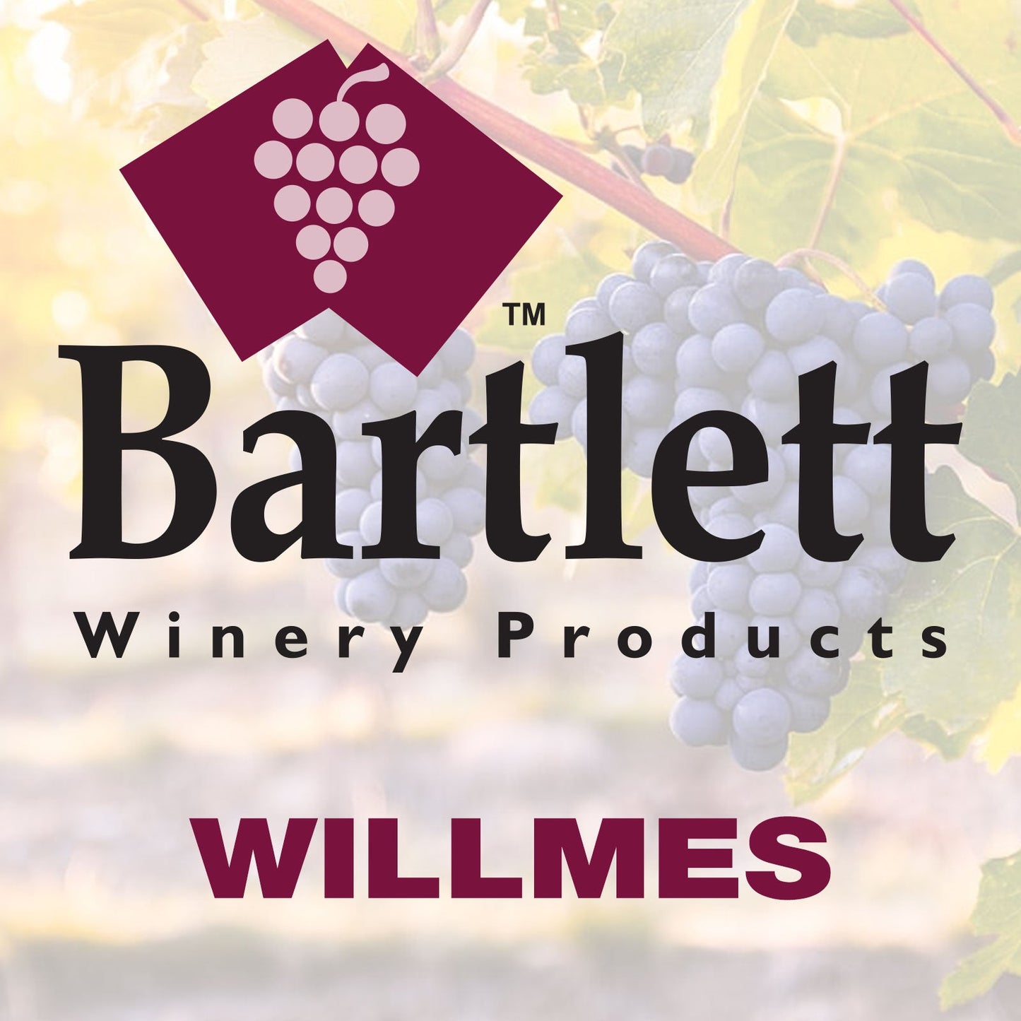 WILLMES - Wine Press Membranes