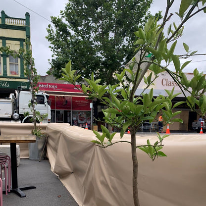 Road Barrier Covers