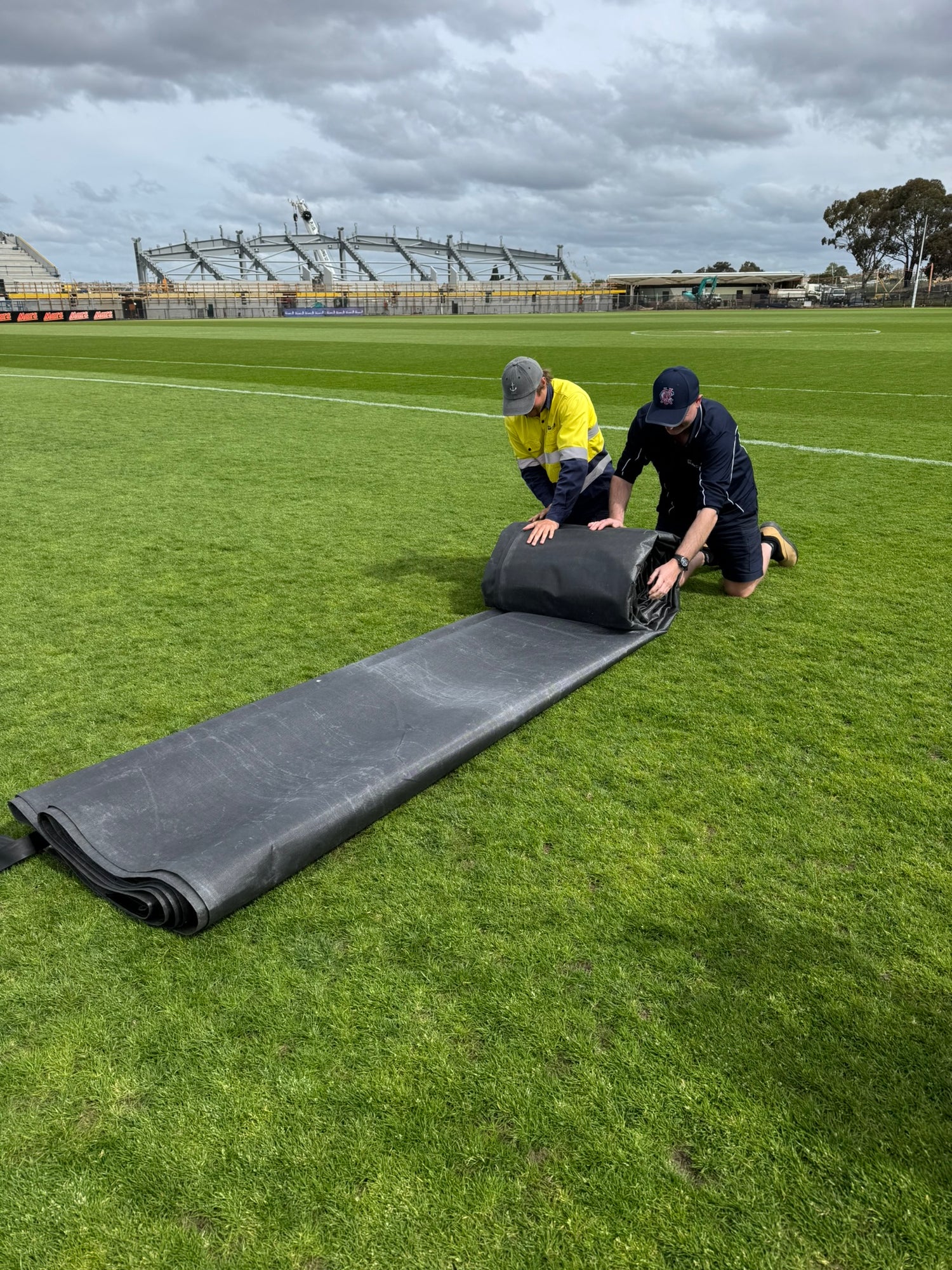 growth cover installed across professional sports turf surface
turf blanket laid out on couch grass sports field during renovation
polypropylene growth blanket protecting kikuyu turf during recovery
sports turf repair using large format growth cover on racetrack grass
stadium turf blanket installed over hybrid couch sports surface
ground staff deploying growth blanket across warm season sports turf
close up of growth cover mesh structure over couch grass surface
sports turf repair cover installed on kikuyu 