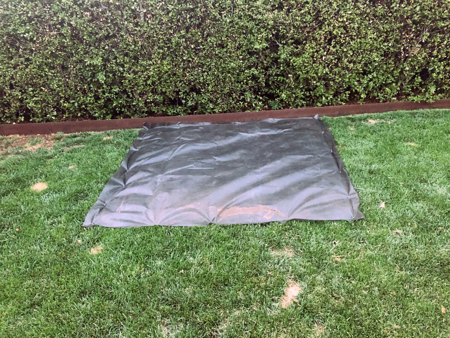 growth cover protecting tall fescue lawn repair after dog digging damage
lawn repair growth blanket covering tall fescue seed to deter birds
polypropylene growth cover installed over freshly seeded tall fescue patch
backyard lawn repair using growth blanket to protect tall fescue seed
tall fescue lawn recovery with growth cover over repaired turf area
residential turf blanket shielding tall fescue seed during establishment
growth cover helping tall fescue lawn repair after pet damage
close up of growth blan