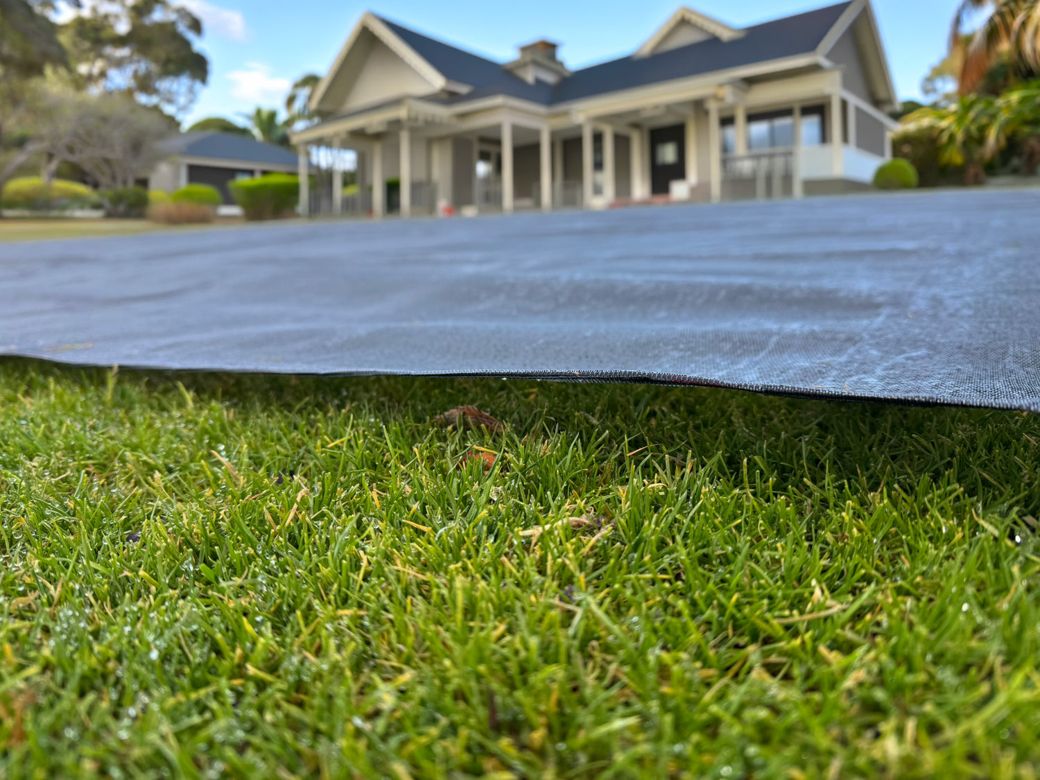 growth cover supporting overseeded sir walter buffalo lawn during repair
lawn repair growth blanket protecting overseeded couch grass backyard lawn
polypropylene growth cover installed after overseeding kikuyu lawn area
warm season lawn repair using growth blanket following overseeding
home lawn overseeding protected with growth cover on buffalo grass
growth blanket helping seed establishment on overseeded couch lawn
lawn repair cover installed over freshly overseeded kikuyu turf
residential growth blanket 