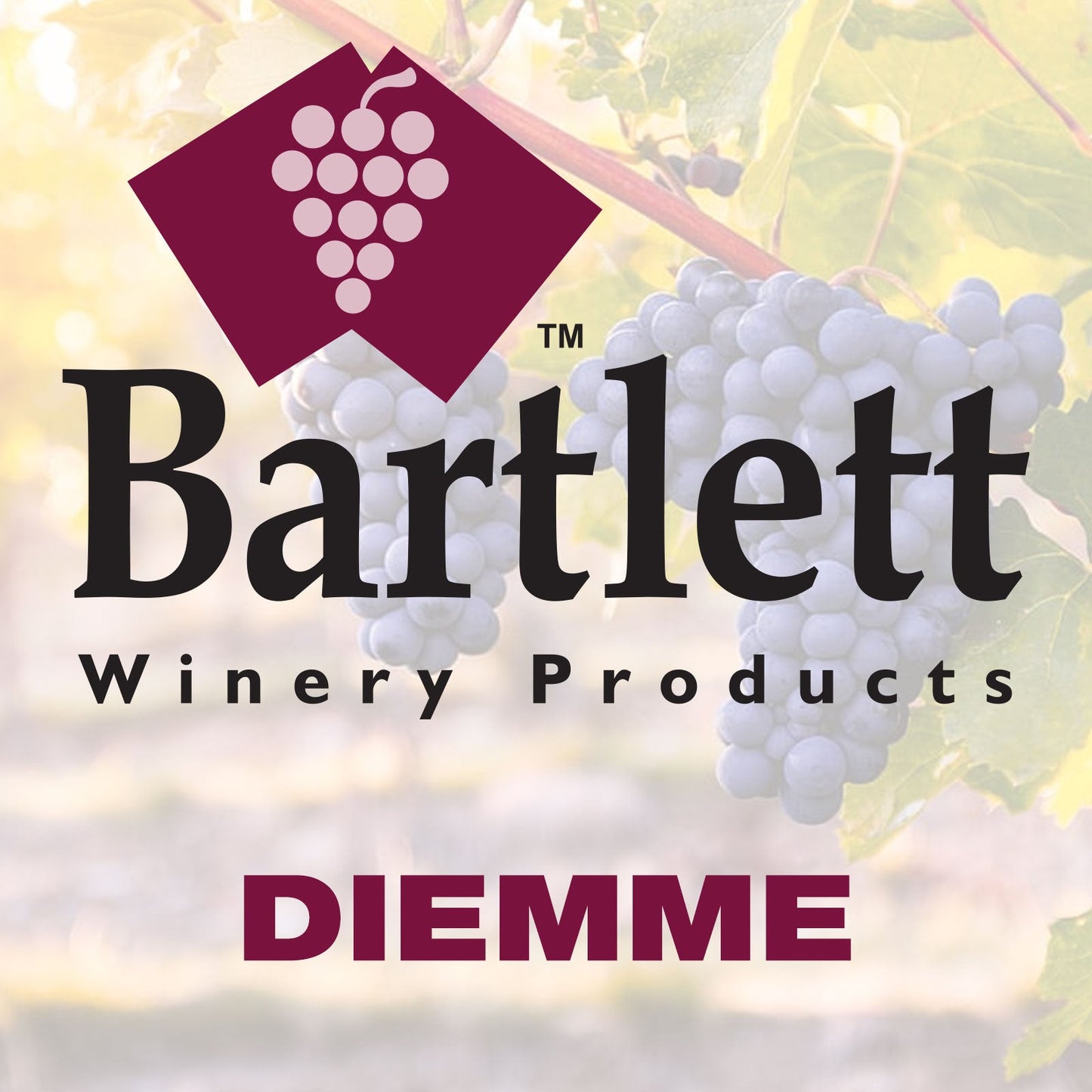 DIEMME - Wine Press Membranes